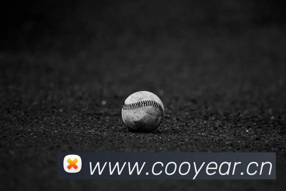 9游官网网页版品牌故事