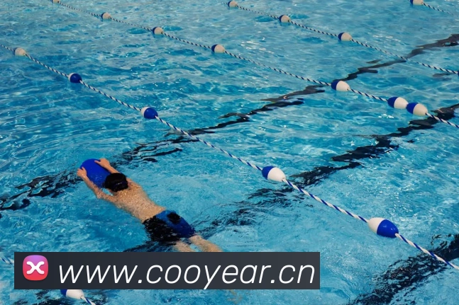 9游官网网页版服务体系